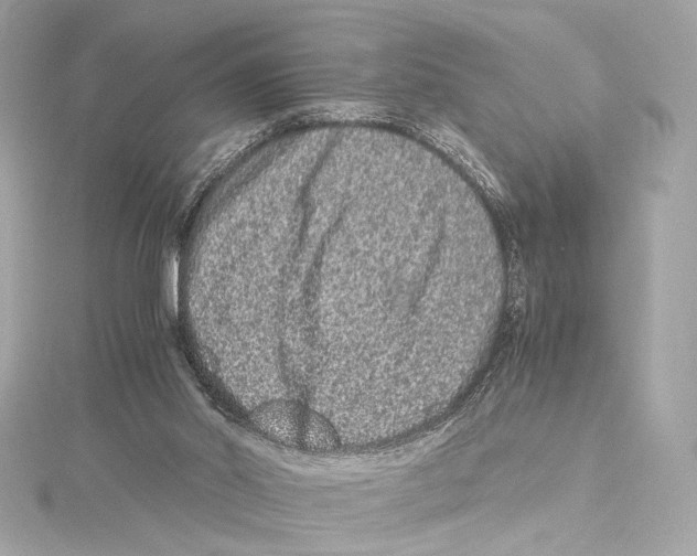 X0000115370014200912011142