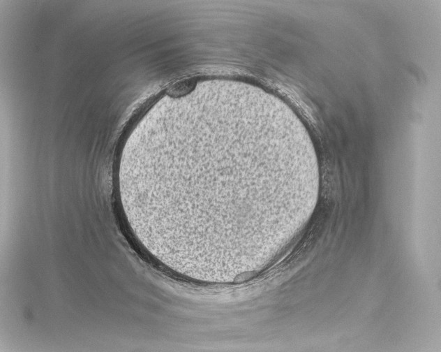 X0000115370015200912011142