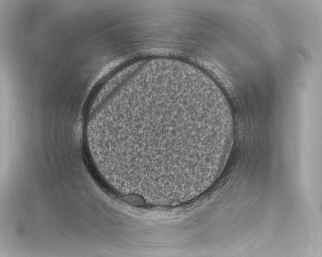 X0000115370016200912011142