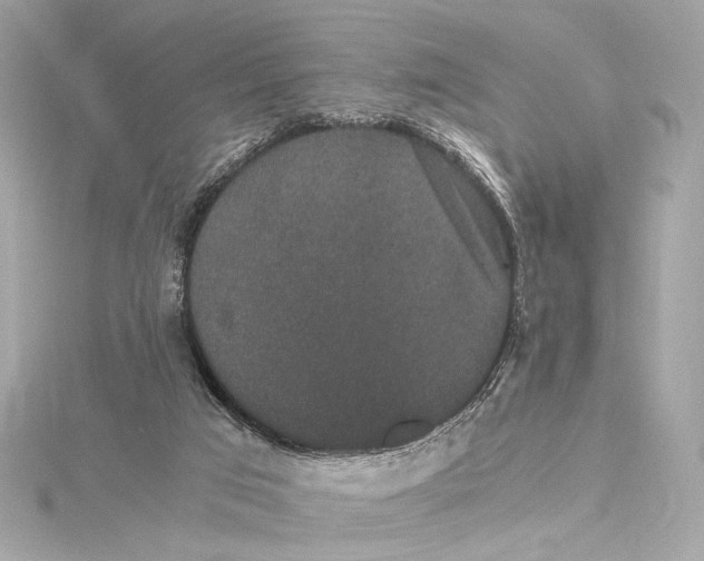 X0000115370017200912011142