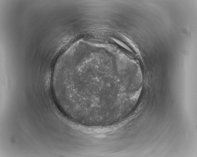 X0000115370018200912011142