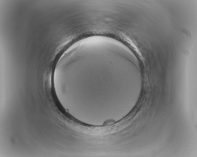 X0000115370019200912011142