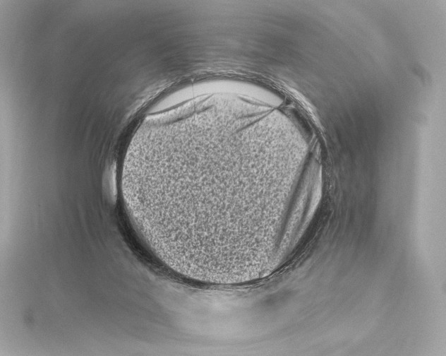 X0000115370020200912011142