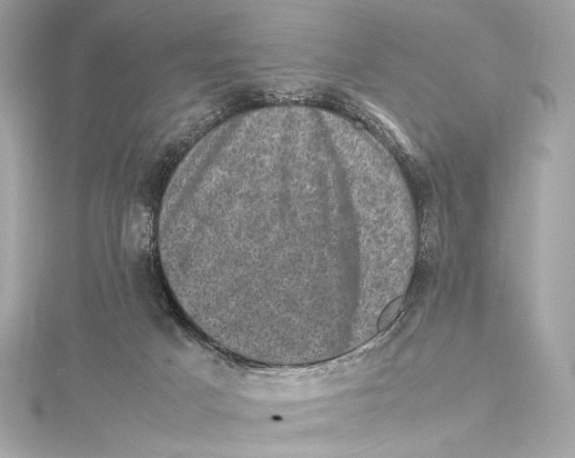 X0000115370025200912011142