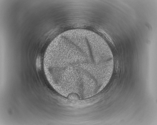 X0000115370026200912011142