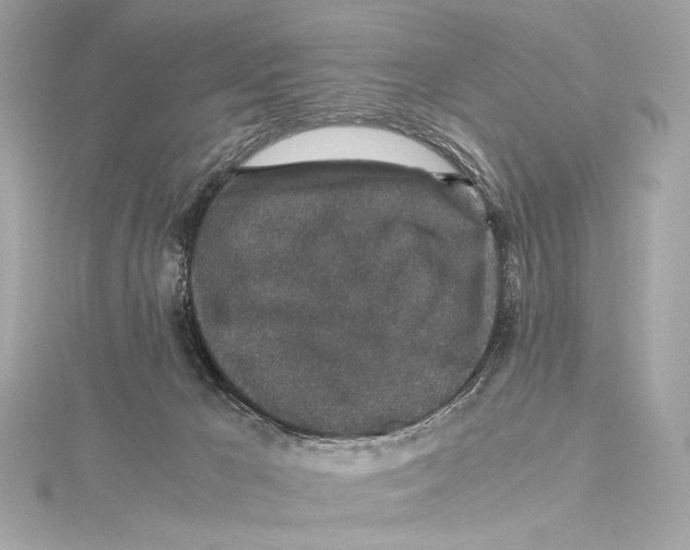 X0000115370029200912011142