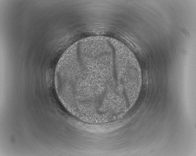 X0000115370030200912011142