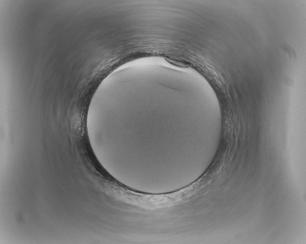 X0000115370031200912011142