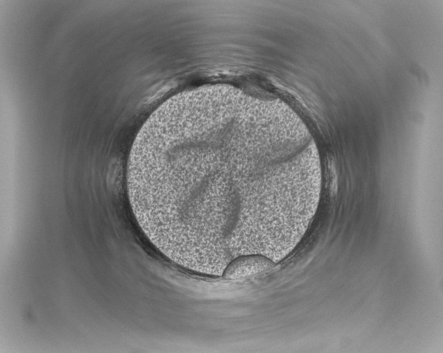 X0000115370036200912011142