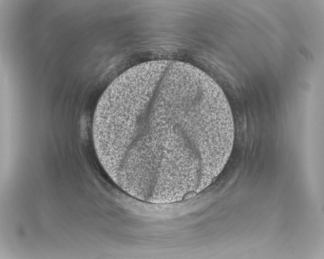 X0000115370038200912011142