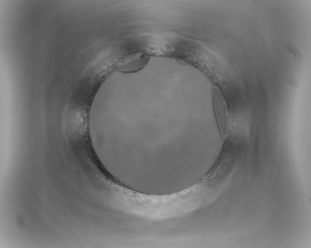 X0000115370043200912011142