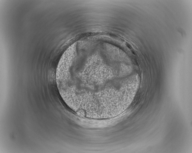 X0000115370048200912011142