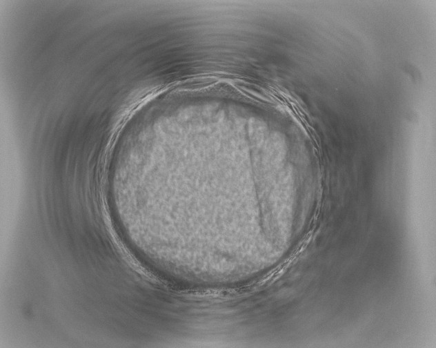 X0000115370049200912011141