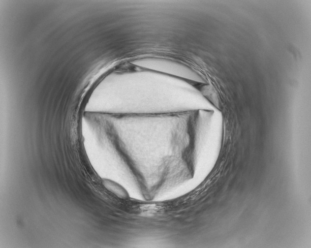 X0000115370050200912011141