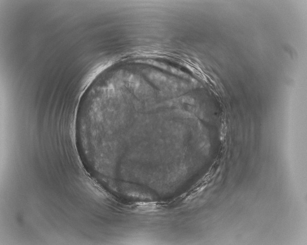 X0000115370052200912011141