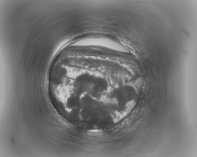 X0000115370053200912011141