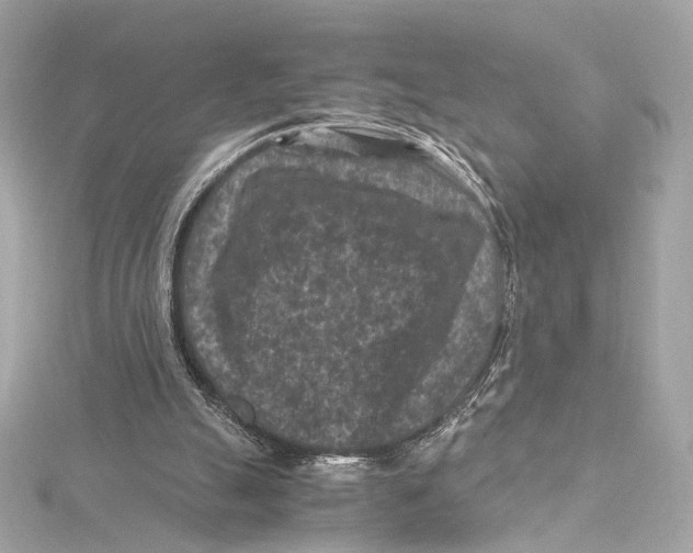 X0000115370055200912011141