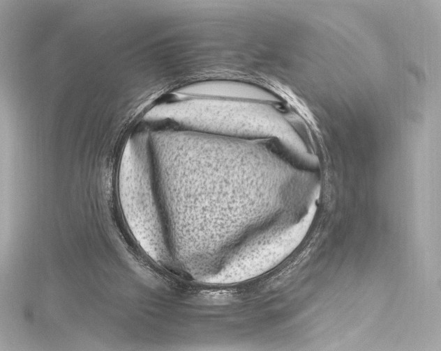 X0000115370057200912011142