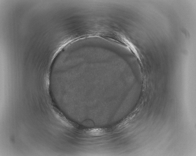 X0000115370059200912011142