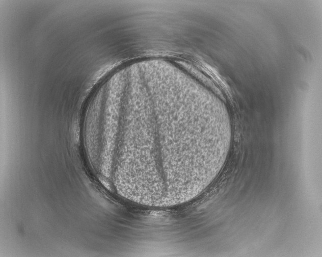 X0000115370060200912011142