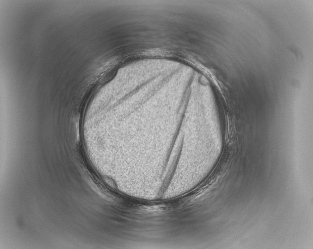 X0000115370061200912011142