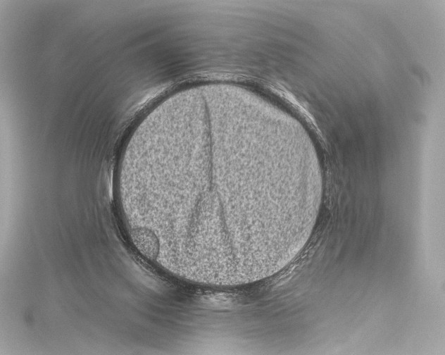 X0000115370062200912011142