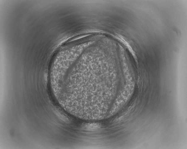 X0000115370063200912011142