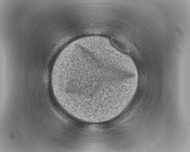 X0000115370064200912011142