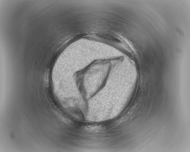 X0000115370065200912011142