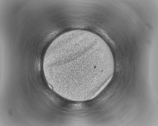 X0000115370068200912011142