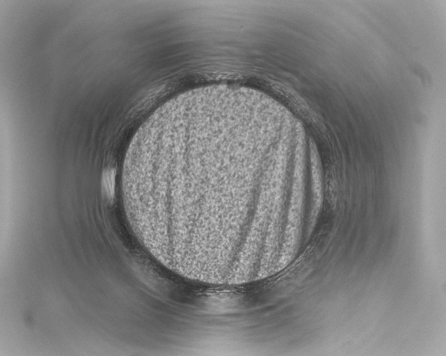 X0000115370070200912011142