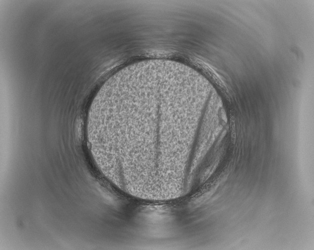 X0000115370071200912011142