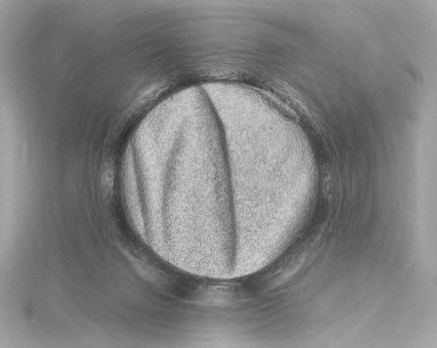 X0000115370072200912011142