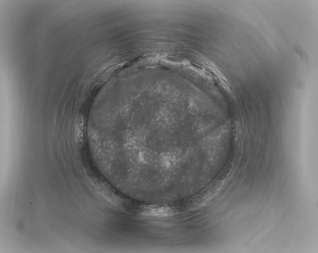 X0000115370073200912011142