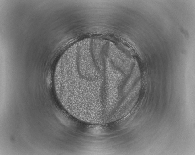 X0000115370074200912011142