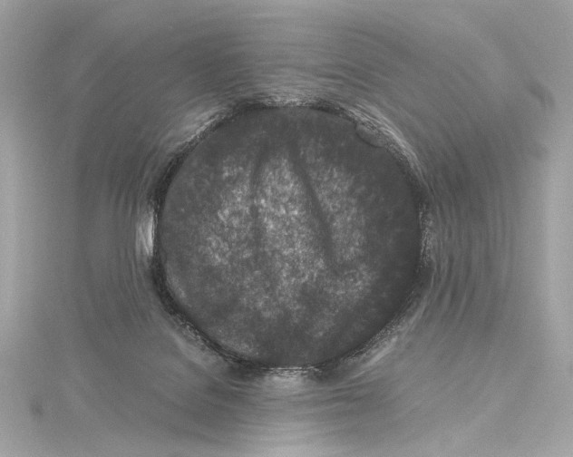 X0000115370076200912011142