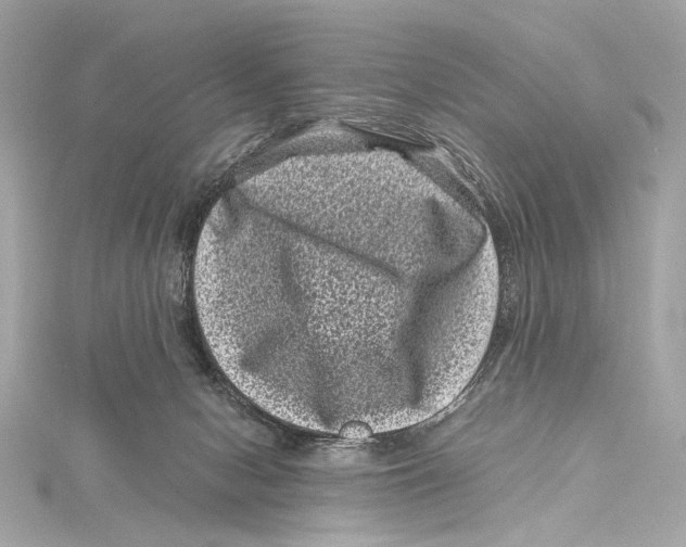 X0000115370078200912011142