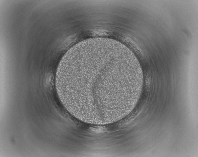 X0000115370079200912011142