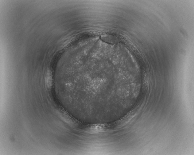 X0000115370080200912011142