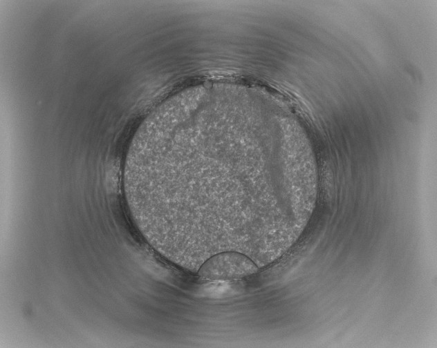 X0000115370083200912011142