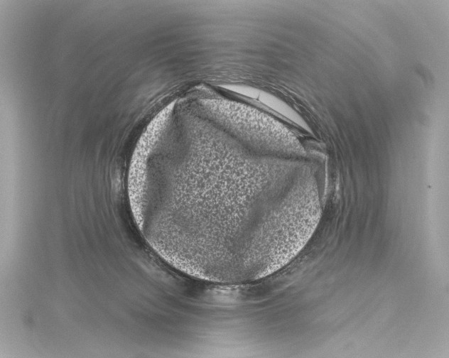 X0000115370084200912011142