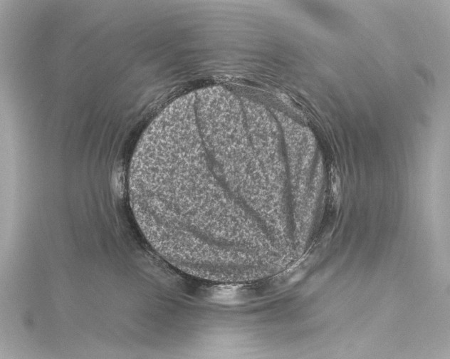 X0000115370090200912011142