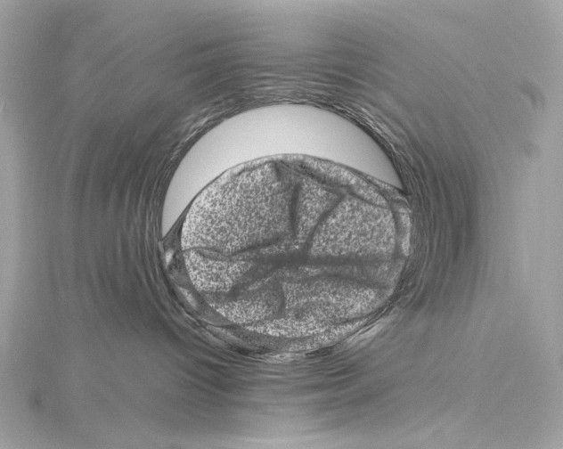 X0000115370096200912011142