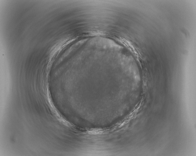 X0000115370097200912011141