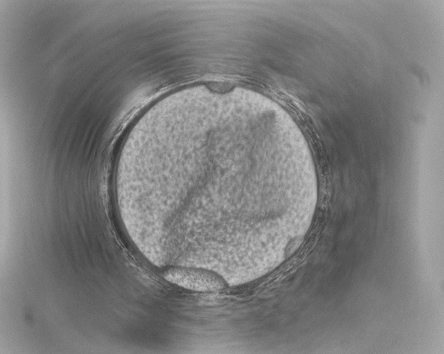 X0000115370098200912011141