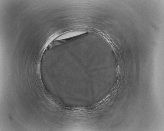 X0000115370099200912011141