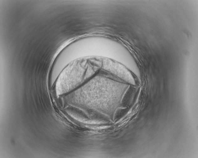 X0000115370100200912011141