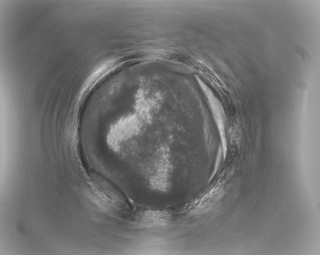 X0000115370101200912011141