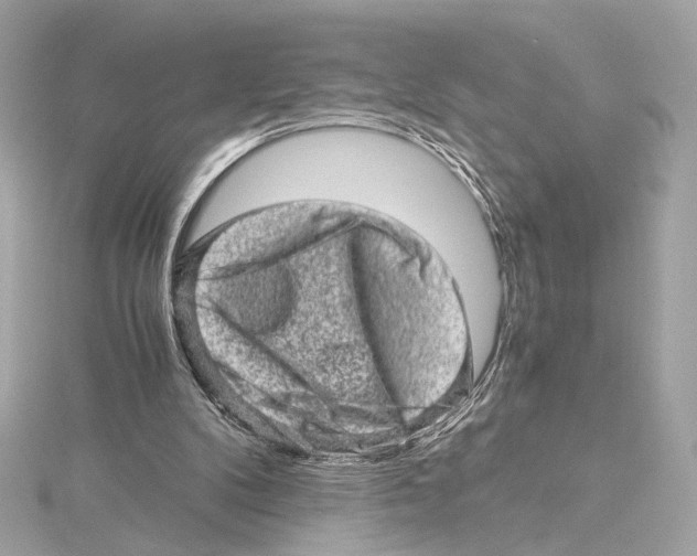 X0000115370104200912011141