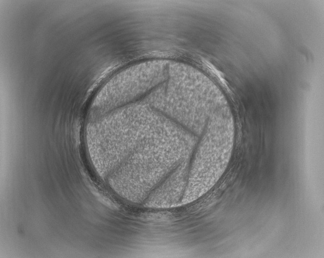 X0000115370106200912011141